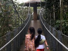 -新加坡飞禽公园