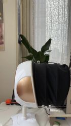 -LUNA皮相美·骨相美高级美感