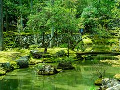 -西芳寺(苔寺)