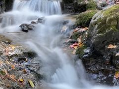 -关门山森林公园