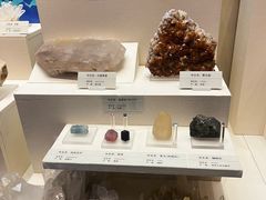-天津自然博物馆
