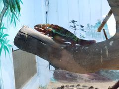 -石家庄市动物园