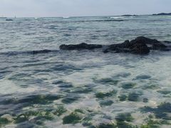 -咸德海水浴场