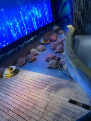 -未来动物城动物主题公园(大悦城店)