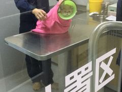 -谐和益家动物医院·免疫绝育·血液透析·宠保定点医院(高新伊藤分院)