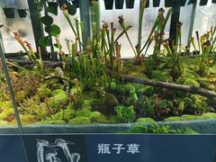 -国家植物园