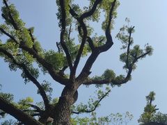 -雀儿山公园