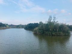 -白鹭湾湿地公园