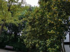 -杭州半山国家森林公园