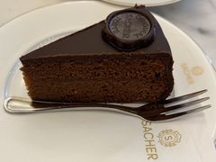 萨赫咖啡-Cafe Sacher(WIEN)