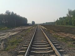-东郊湿地公园