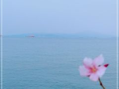 -黄金海岸环岛路
