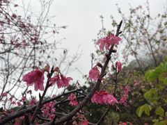-小南山公园