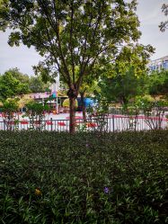 点击看大图 -深圳市儿童乐园