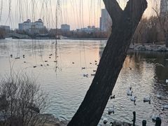 -迎泽公园