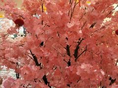 -爱乐国际温泉水疗会