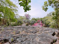 -海口火山口国家地质公园