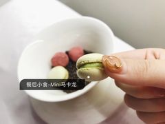 -蝶舍·MAISON PAPILLON