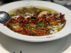 -姚姚酸菜鱼·金戈戈香港豉油鸡(喜荟城联名店)