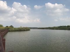 -西青郊野公园