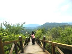 -大岭沟猕猴桃谷风景区
