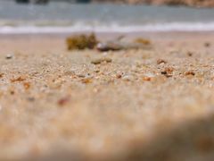 -那琴半岛地质海洋公园