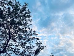 -小湾茶楼