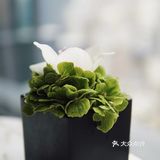 论颜值和格调还属宝格丽