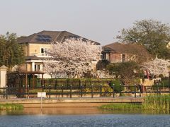 -长广溪湿地公园