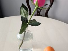-曲阳花鸟市场(曲阳路店)