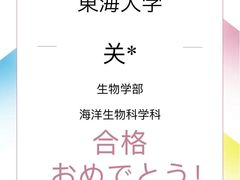 -猫音日语留学培训