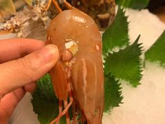 北海道牡丹虾-王鼎精致料理铁板烧(世博源店)