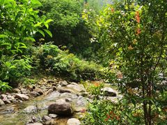 -广州白江湖森林公园