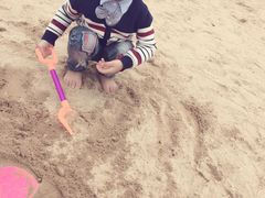 -瑶湖郊野森林公园