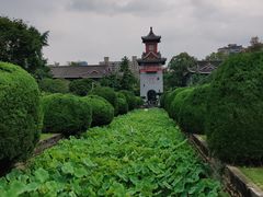-四川大学(华西校区)