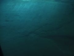 -白鹤梁水下博物馆