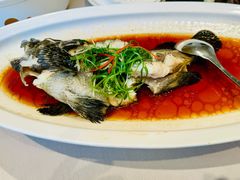 -恒悦轩·粤菜(上海展览中心店)