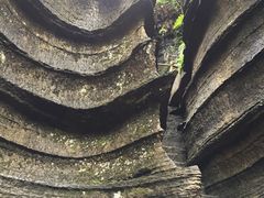 -梭布垭石林景区