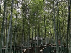 -陶祖圣境风景区