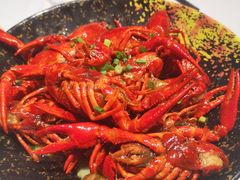 油焖小龙虾-熊记虾王·小龙虾(东晓南店)