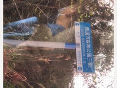 -广州市流溪河国家森林公园