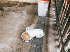 -诸暨同方豪生大酒店