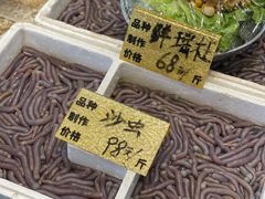 -大门水乡·顺德菜