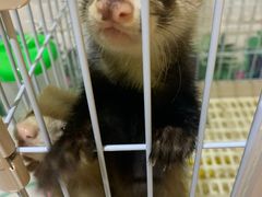 -Mr·Kuma酷么先生雪之乐园