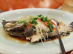 清蒸石斑鱼-龙泉海鲜酒楼(龙昆南路店)