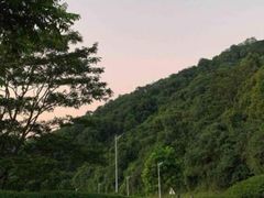 -火炉山森林公园