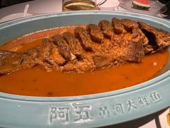 -阿五黄河大鲤鱼(英协路店)