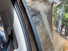 -秦皇岛野生动物园