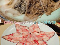 -蜀九香火锅(园艺山店)