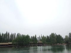 -秀丽东方
